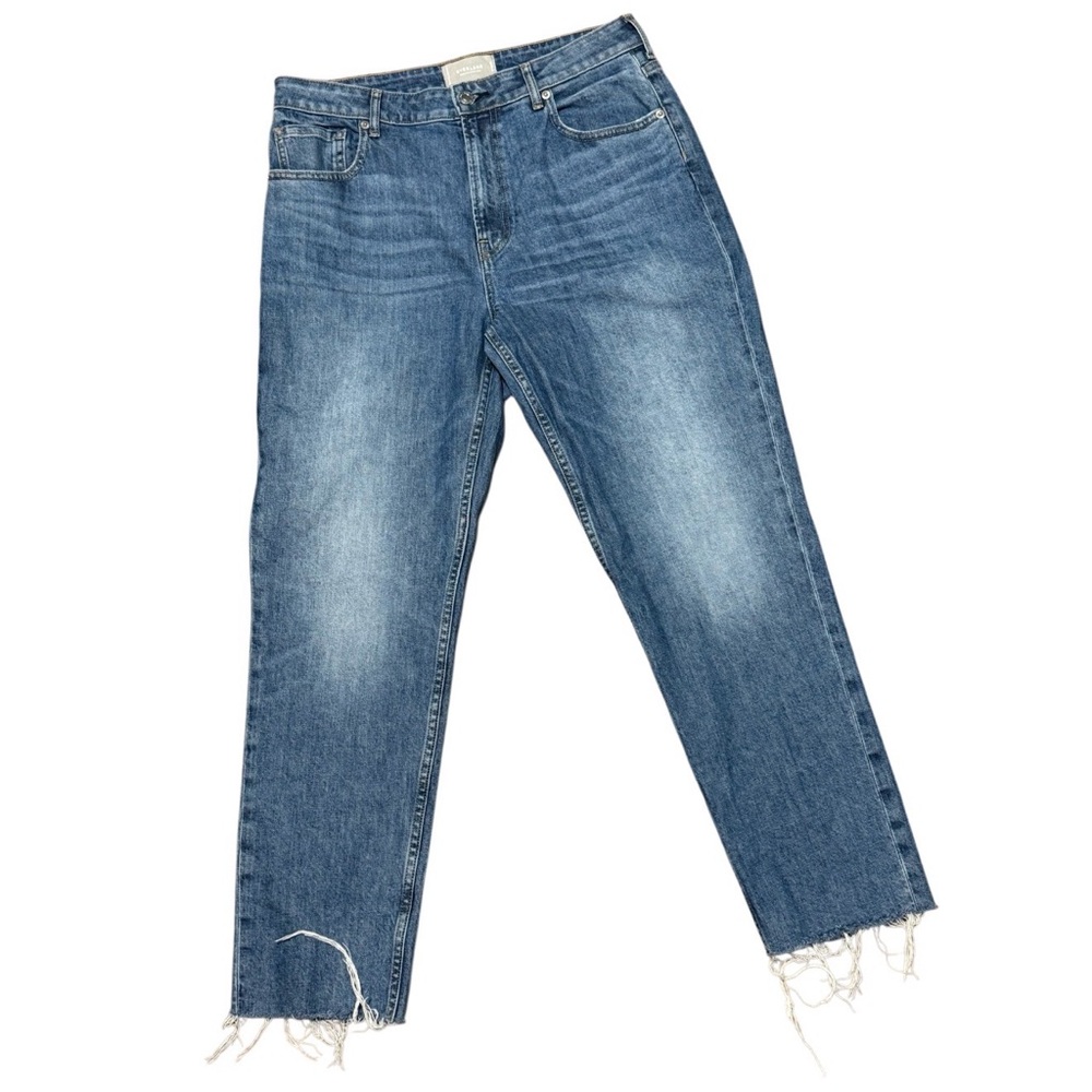 Everlane Curvy Cheeky Jean 31 Regular Raw Hem Cropped Blue Denim